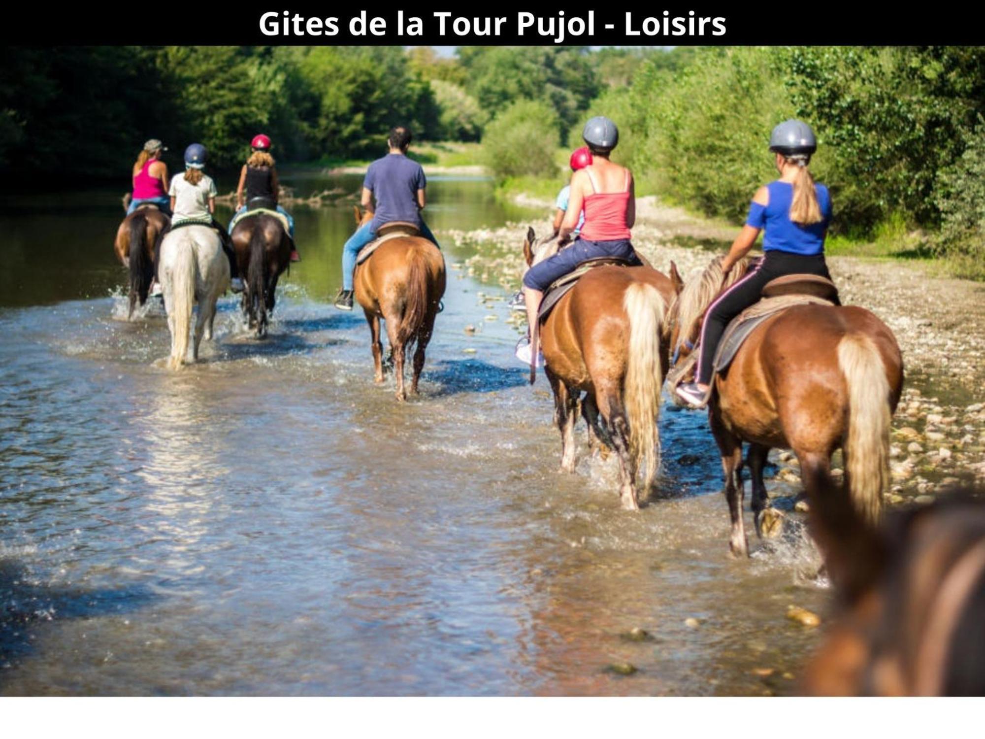 Les Gites De La Tour Pujol Argelès-sur-Mer Exteriér fotografie