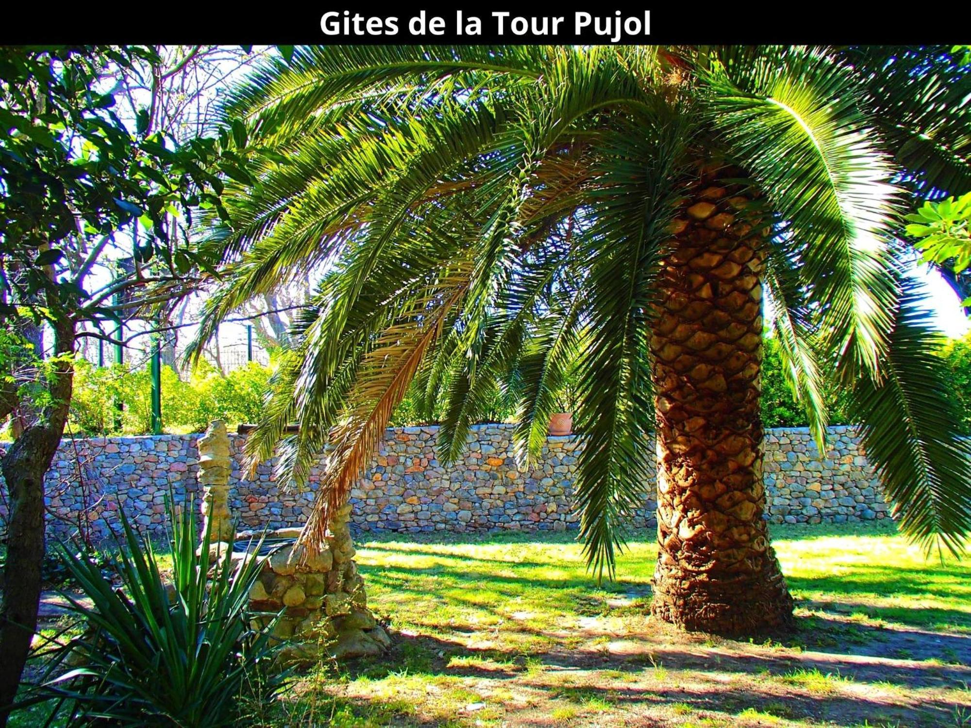 Les Gites De La Tour Pujol Argelès-sur-Mer Exteriér fotografie